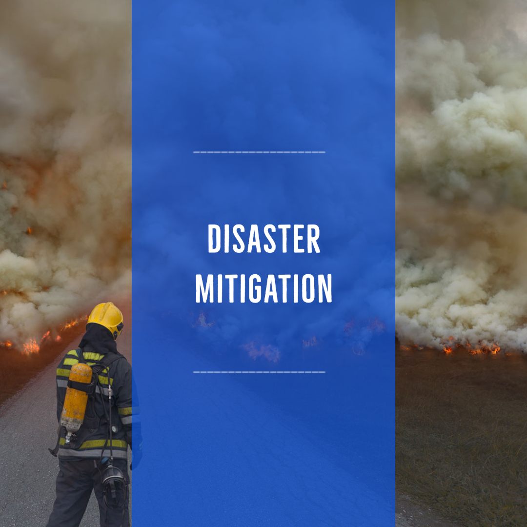 Disaster Mitigation-1.jpg